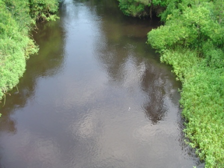 Elevenmile Creek