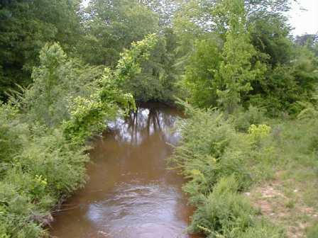 Elliots Creek