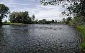 Falls River near Chester, ID - USGS file photo