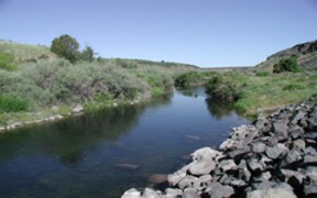 Willow Creek near Ririe, ID - USGS file photo