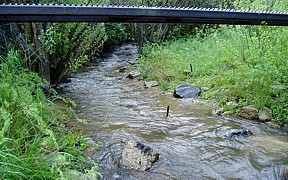 Cottonwood Creek below Fivemile Creek near Boise, ID - USGS file photo