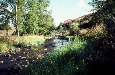 Lapwai Creek near Lapwai, ID - USGS file photo